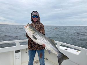 Striped Bass Chesapeake Bay